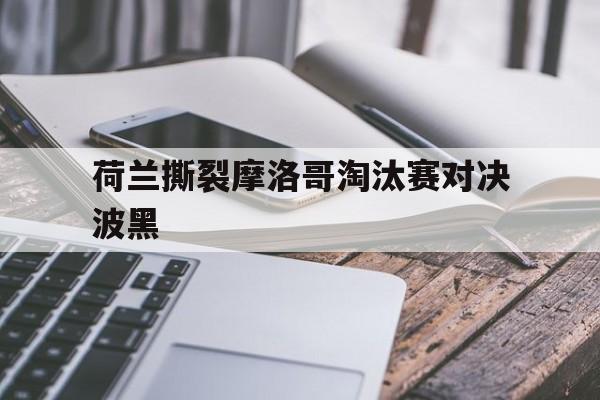 荷兰撕裂摩洛哥淘汰赛对决波黑()