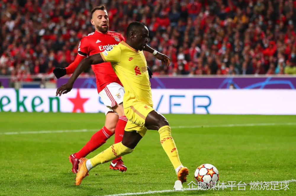 酷雷伏铠甲召唤人柯胜